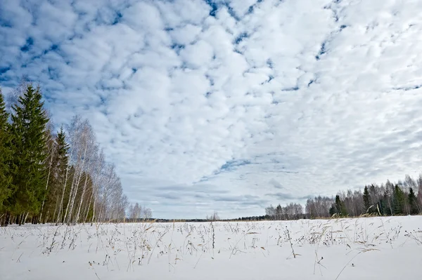 stock image Beautiful winter landscape