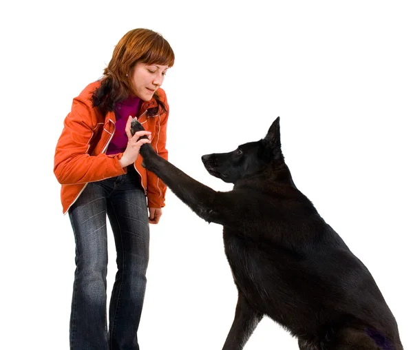 Kadın köpek eğitiyor — Stok fotoğraf
