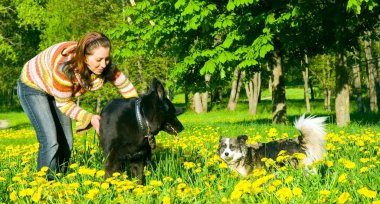 kadın köpeğini çayır üzerinde