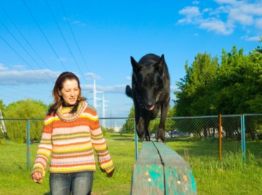 Dog at a dog training center clipart