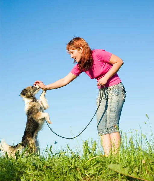 Žena se svým psem na louce — Stock fotografie