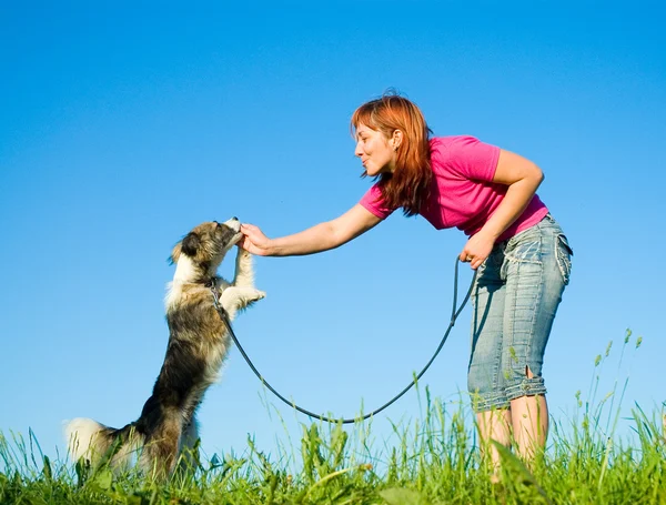 Femme avec son chien sur la prairie — Photo