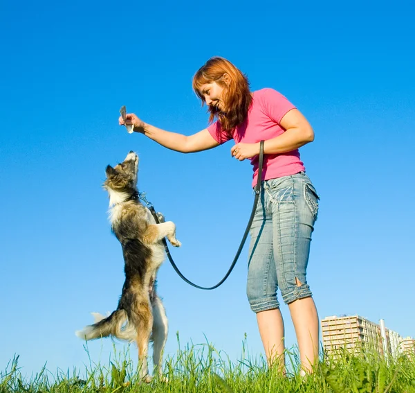Vrouw met haar hond op weide — Stockfoto