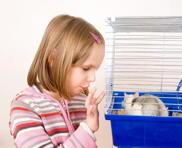 stock image Child plays with a rat in a cage