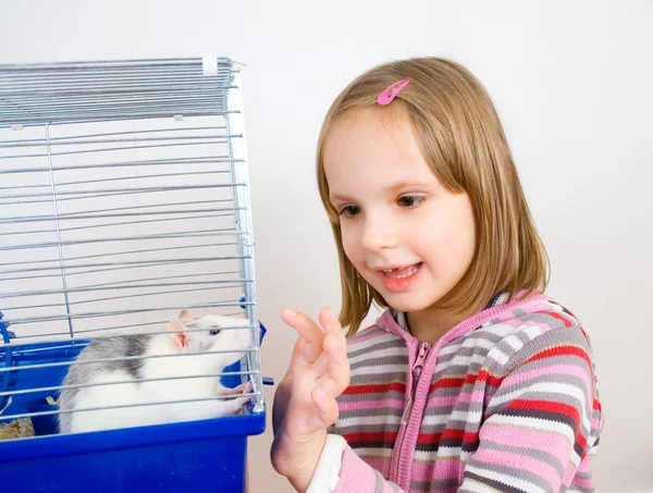 Stock image Child plays with a rat in a cage