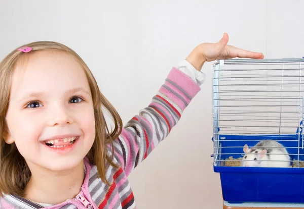 Child plays with a rat in a cage — Stock Photo, Image