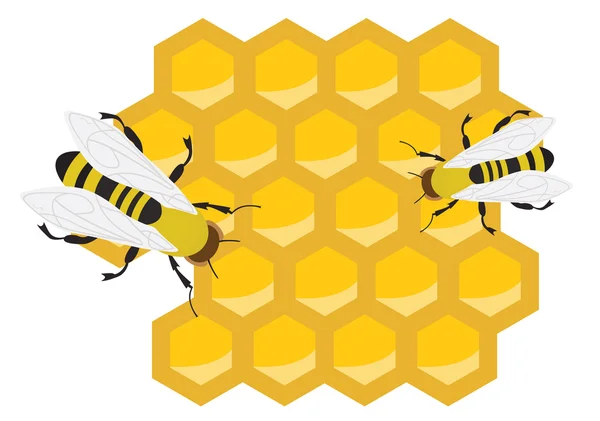 Κηρήθρα και μέλισσες — Διανυσματικό Αρχείο