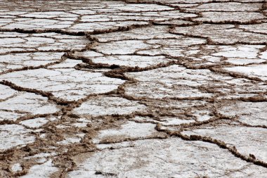 tuz alanında kuru: dead sea Israel