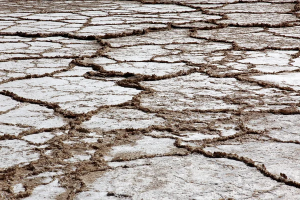 Dry salt field in Dead Sea Israel — Stock Photo, Image
