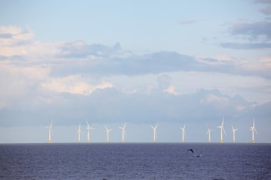 Rüzgar elektrik santrali - denizin mavi gökyüzü rüzgar türbini