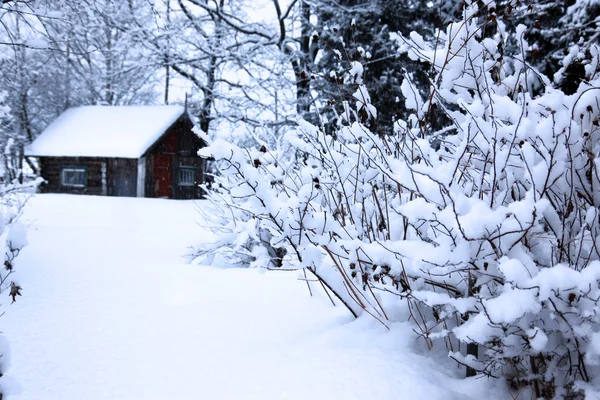 Kırsal kış manzara, kar yağışı altında ev — Stok fotoğraf