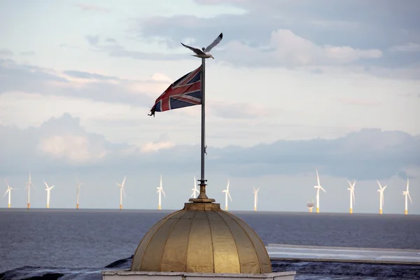 Union Jack with flying bird against Wind power station in the se — Stock Photo, Image