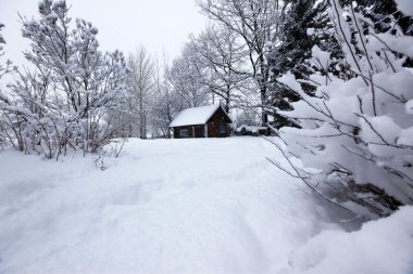 kırsal kış manzara, kar yağışı altında ev
