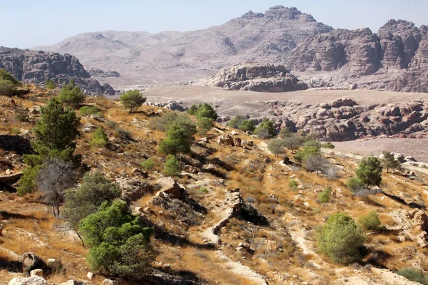 Venkovské Jordánsko - Prohlédni na údolí s mt — Stock fotografie