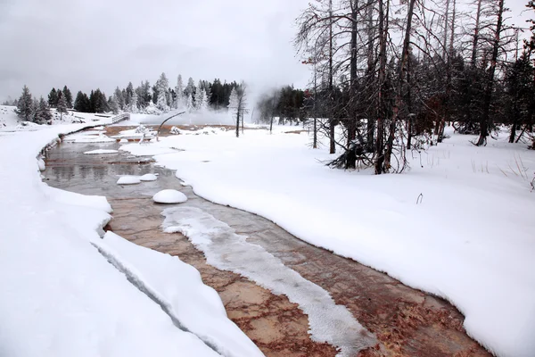 Zimní sezóna v Yellowstonský národní park, wyoming, usa — Stock fotografie