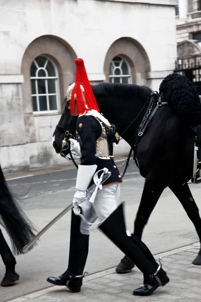 Королевский гвардеец с лошадью — стоковое фото