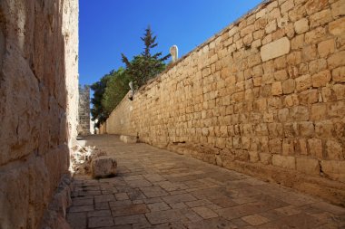 Jerusalem old city wall at Zion Gate clipart
