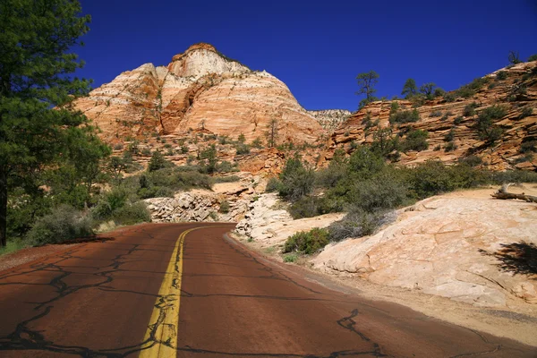 Natureza clássica da América - Estrada em Sião NP, Utah, EUA — Fotografia de Stock