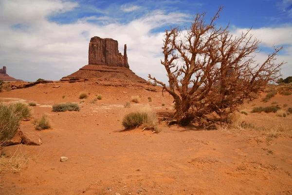 Monument valley, navajo tribal park, arizona, Stany Zjednoczone Ameryki — Zdjęcie stockowe