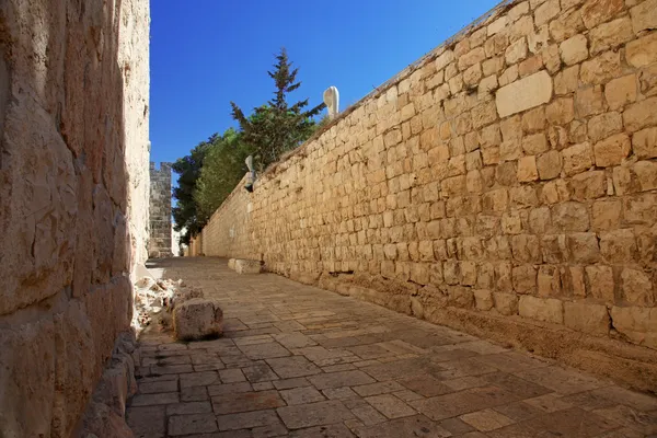 Jerusalem alte Stadtmauer am Zionstor — Stockfoto