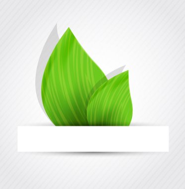 Background with two leaves clipart