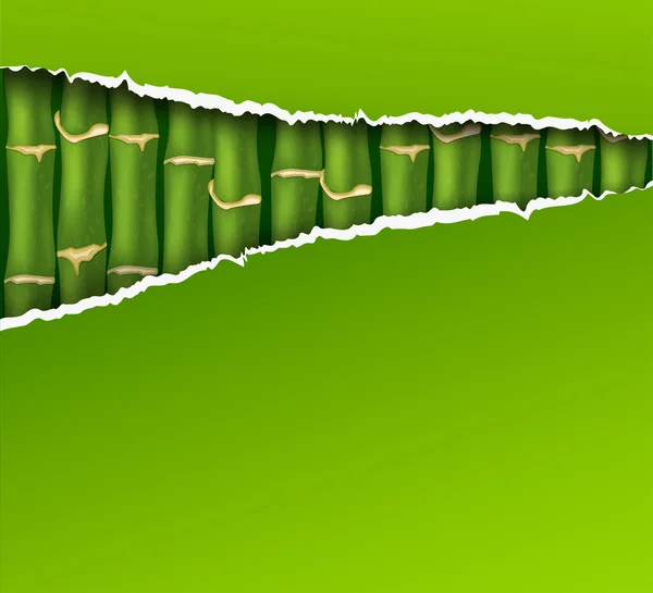 Bambu Arkaplanı — Stok Vektör