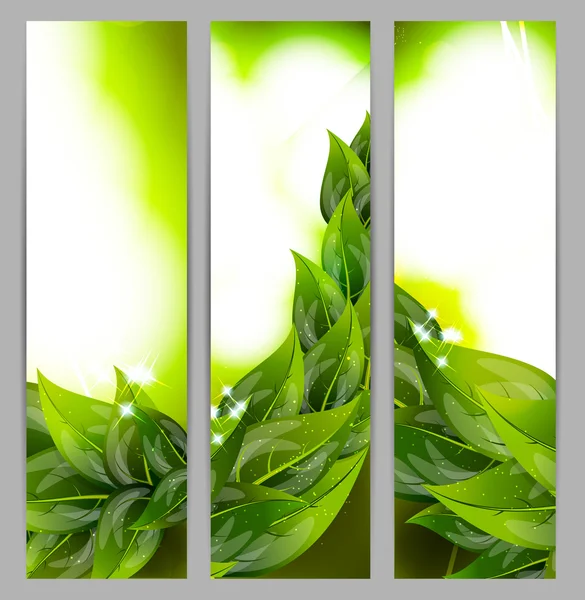 Set di striscioni con foglie — Vettoriale Stock