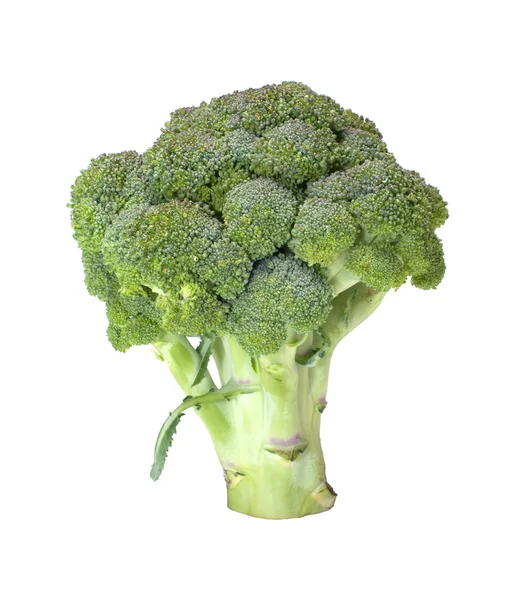 Broccolo. — Foto Stock