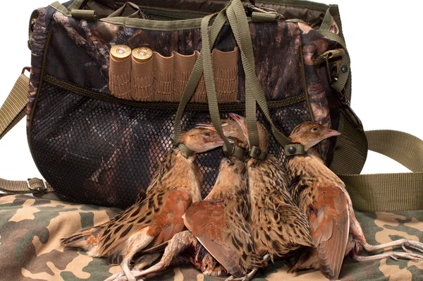 Fowling väska och fågel. — Stockfoto