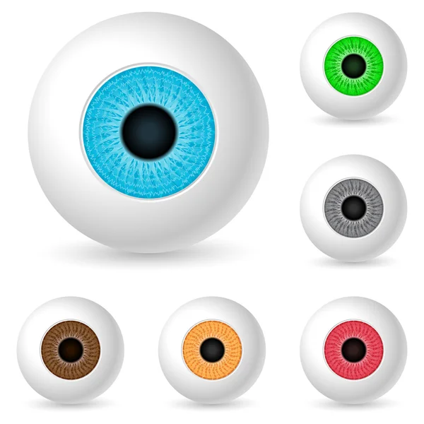 stock vector Human eyeballs