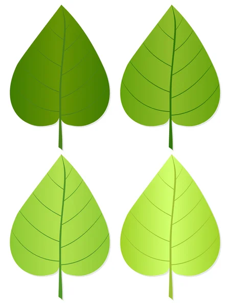 Zielony liść 3 — Wektor stockowy