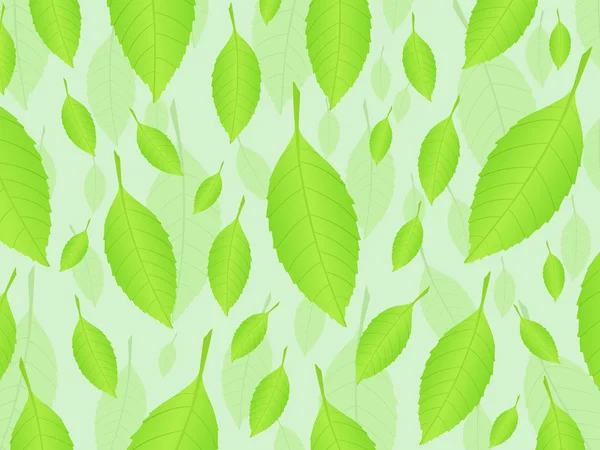 Frische Blätter Hintergrund 3 — Stockvektor