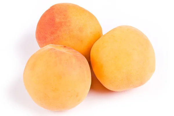 Tree apricots — Stock Photo, Image