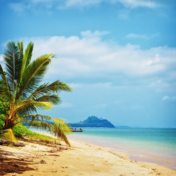 Tropisk strand — Stockfoto