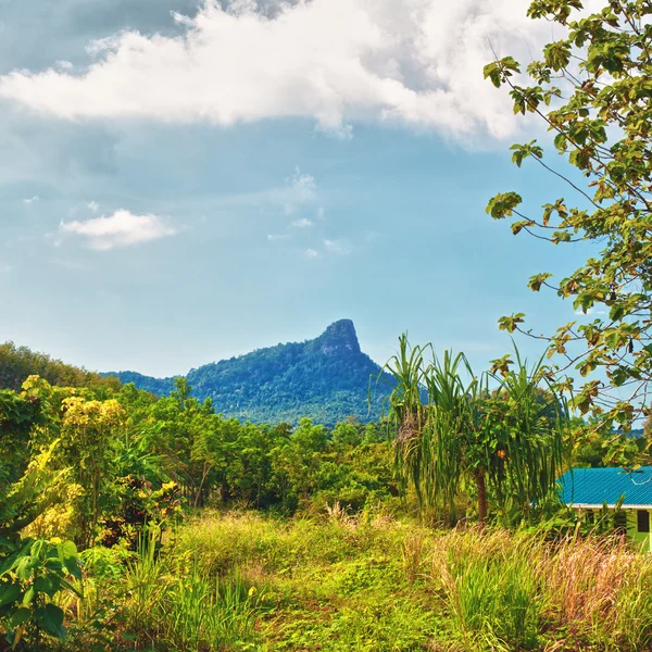 Thailändska berg — Stockfoto