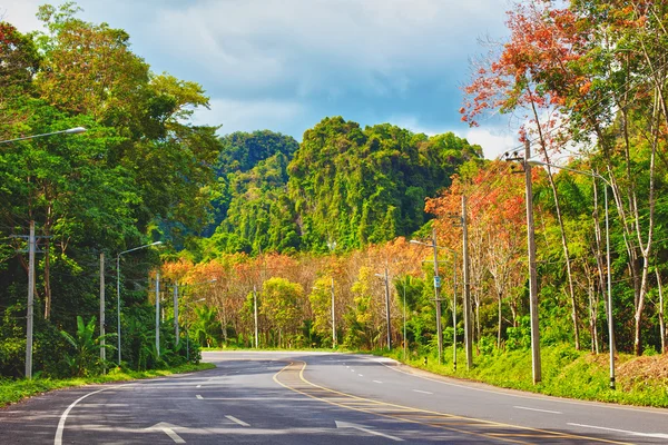 Motorväg i thailand — Stockfoto