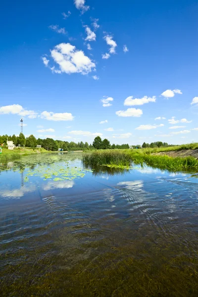 Sommerlandschaft — Stockfoto