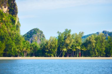 Andaman Shore