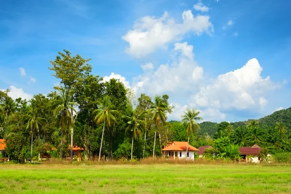 Thailändische Landschaft — Stockfoto