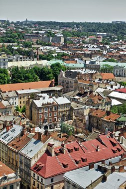 Lviv havadan görünümü