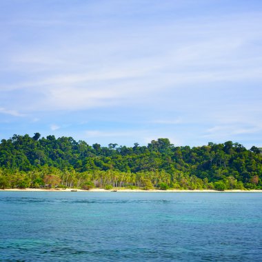 Andaman Shore