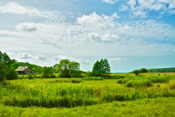 Sunny Meadow — Stock Photo, Image