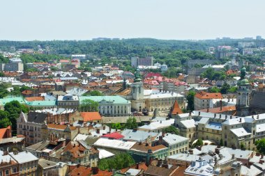 Lviv havadan görünümü