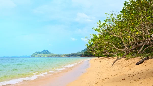 Spiaggia tropicale — Foto Stock