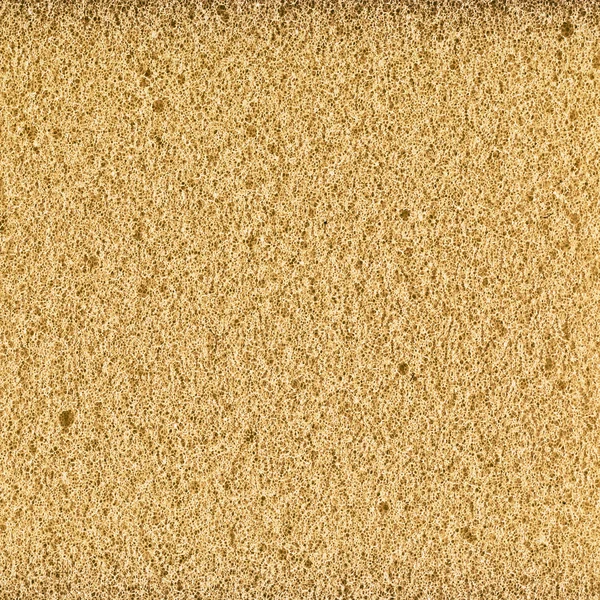 Textura de borracha de espuma — Fotografia de Stock