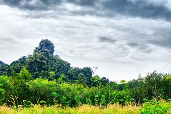 Thaise berg — Stockfoto