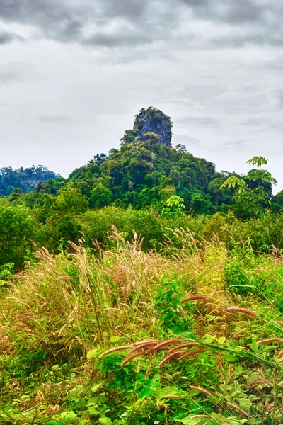 Thailändska berg — Stockfoto