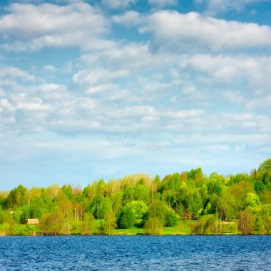 Forest on a Lake clipart