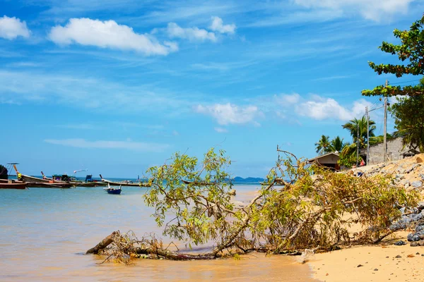 Côte de la mer d'Andaman — Photo