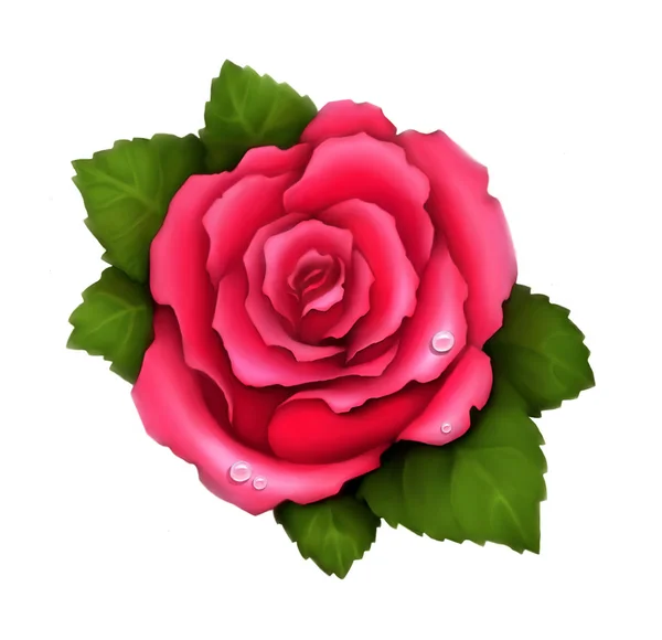Ilustración de rosa rosa — Foto de Stock